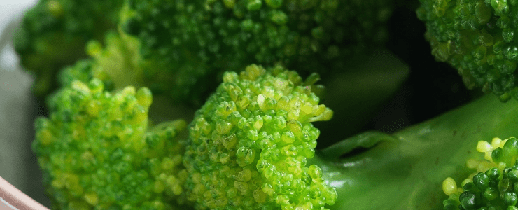 ブロッコリー